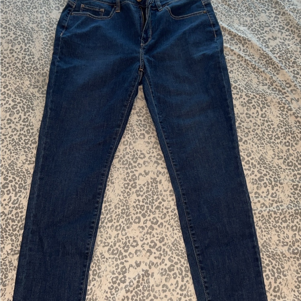 Parasuco Blue Skinny Jeans with Vintage Wash